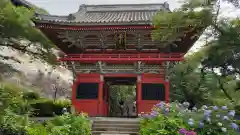 楽法寺（雨引観音）の山門