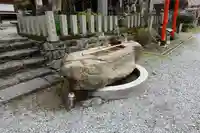 櫻本坊の手水舎