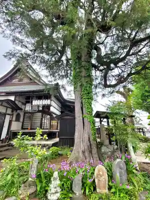 清宝院(東京都)