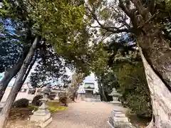 八幡神社(滋賀県)