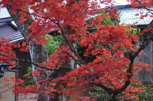 慈恩護国禅寺の景色