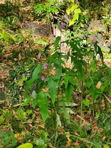 月水石神社(茨城県)