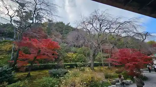 天龍寺(京都府)