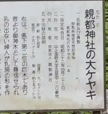 親都神社(群馬県)