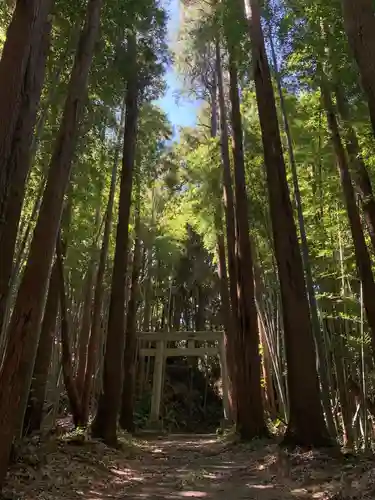 船木神社の鳥居