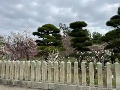 曽根天満宮(兵庫県)