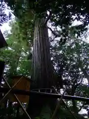 須佐神社の建物その他