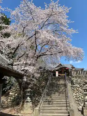 富士浅間神社のその他建物