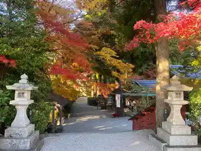 高鴨神社(奈良県)