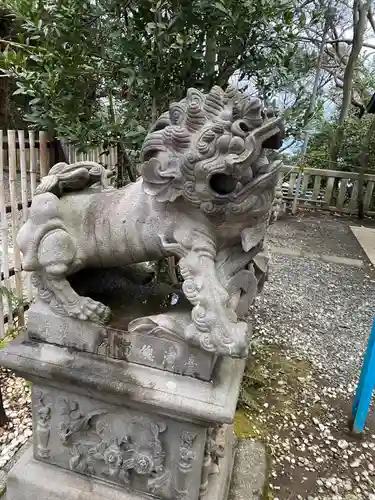 児玉神社の狛犬