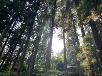 大宮温泉神社(栃木県)