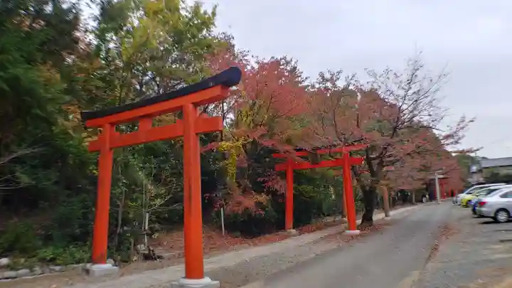 竹中稲荷神社(吉田神社末社)の鳥居