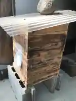 杭全神社(大阪府)