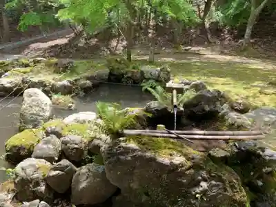 松木神社の手水舎