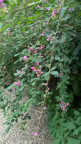 梨木神社(京都府)