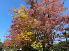 北野天満宮の自然