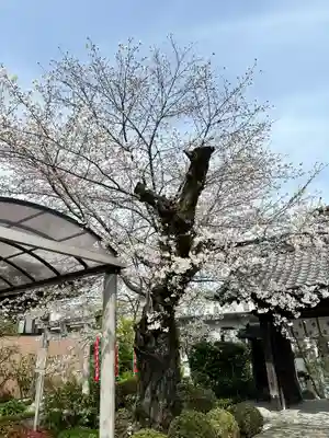 大光寺(東京都)