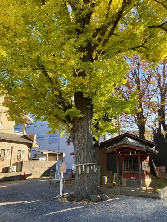 取手八坂神社(茨城県)