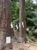 東蕗田天満社(茨城県)