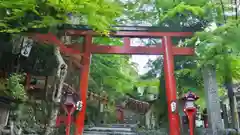 貴船神社の鳥居