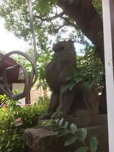 稲毛神社の狛犬