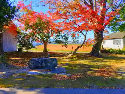 神明神社(下中町城屋敷)の手水舎