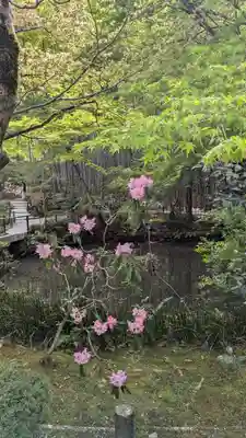 圓光寺(京都府)