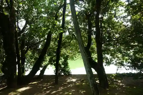 釣殿神社の景色