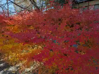 冨士御室浅間神社(山梨県)