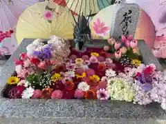 札幌諏訪神社(北海道)