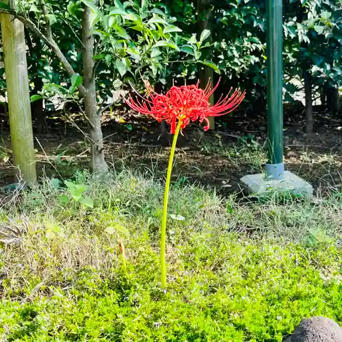 横浜御嶽神社(神奈川県)