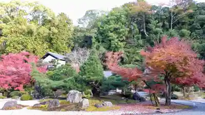 くろ谷 金戒光明寺(京都府)