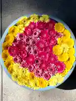 草加神社(埼玉県)