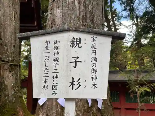 日光二荒山神社(栃木県)