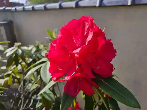 津観音(三重県)