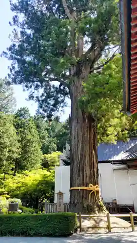 北口本宮冨士浅間神社(山梨県)