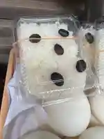 手力雄神社(岐阜県)