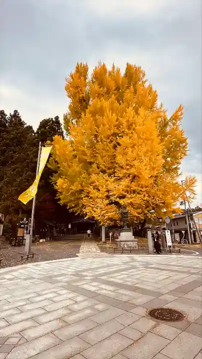 熊野大社(山形県)