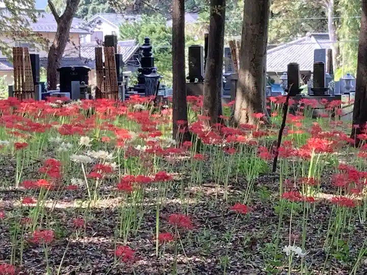 祖光院(千葉県)