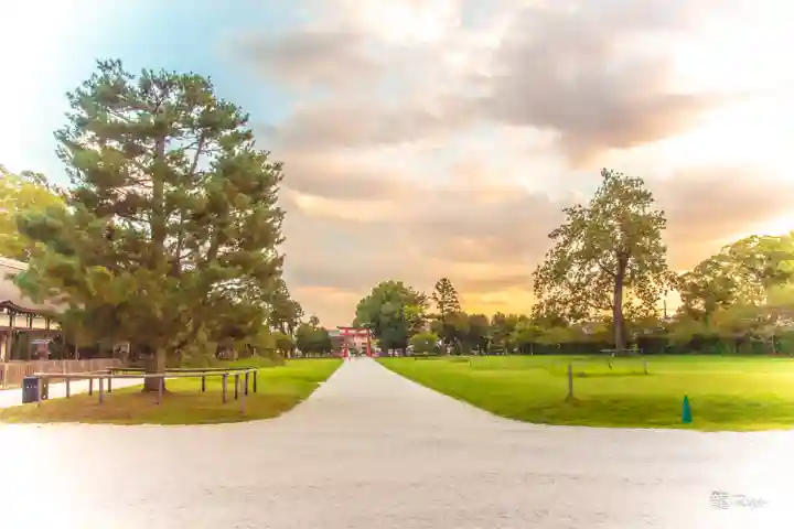 賀茂別雷神社(上賀茂神社)(京都府)