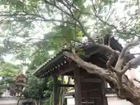 妙法寺の山門・神門