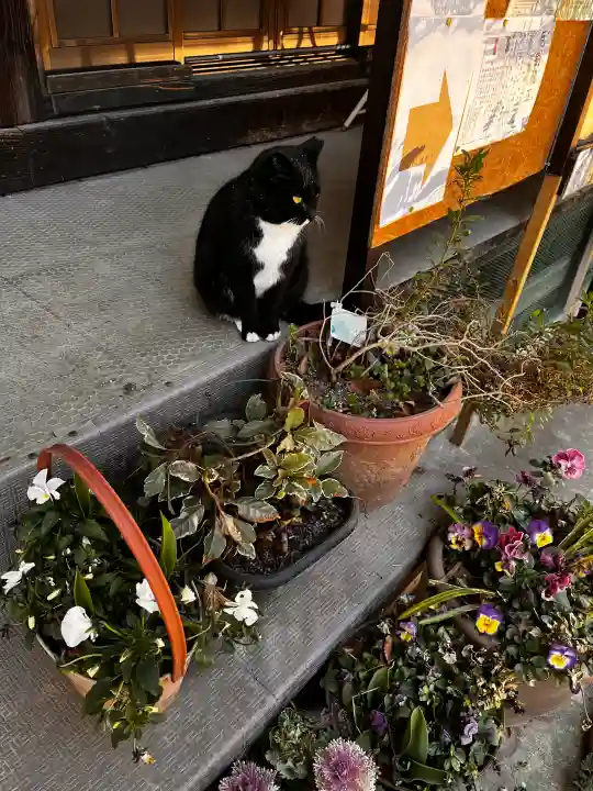 岡部春日神社~👹鬼門よけの🌺花咲く🌺やしろ~の{uncategorized: "未分類", other: "その他", undefined: "問題あり", building: "その他建物", grave: "お墓", sacred_gate: "鳥居", guardian: "狛犬", statue: "像", buddha: "仏像", history: "歴史", nature: "自然", garden: "庭園", animal: "動物", pagoda: "塔", temizu: "手水舎", mountain_gate: "山門・神門", sanctuary: "本殿・本堂", subordinate: "末社・摂社", art: "芸術", scenery: "景色", jizo: "地蔵", ema: "絵馬", goshuin: "御朱印", omikuji: "おみくじ", items: "授与品その他", amulet: "お守り", goshuincho: "御朱印帳", eats: "食事", festival: "お祭り", votive_dance: "神楽", shichigosan: "七五三参", wedding: "結婚式", experience: "体験その他", initially: "初詣", around: "周辺", anti_infection: "感染症対策"}