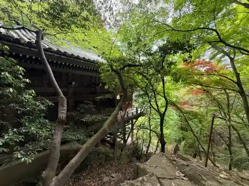 圓教寺の{uncategorized: "未分類", other: "その他", undefined: "問題あり", building: "その他建物", grave: "お墓", sacred_gate: "鳥居", guardian: "狛犬", statue: "像", buddha: "仏像", history: "歴史", nature: "自然", garden: "庭園", animal: "動物", pagoda: "塔", temizu: "手水舎", mountain_gate: "山門・神門", sanctuary: "本殿・本堂", subordinate: "末社・摂社", art: "芸術", scenery: "景色", jizo: "地蔵", ema: "絵馬", goshuin: "御朱印", omikuji: "おみくじ", items: "授与品その他", amulet: "お守り", goshuincho: "御朱印帳", eats: "食事", festival: "お祭り", votive_dance: "神楽", shichigosan: "七五三参", wedding: "結婚式", experience: "体験その他", initially: "初詣", around: "周辺", anti_infection: "感染症対策"}
