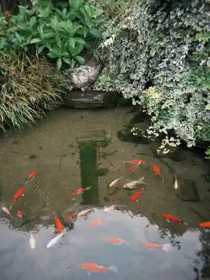 石母田　三吉神社(福島県)