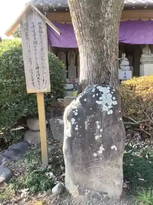 観音寺のその他建物