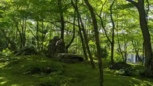 禅林寺（永観堂）(京都府)