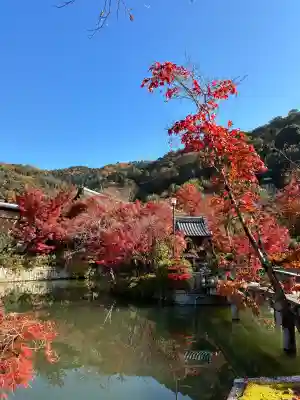 禅林寺（永観堂）の{uncategorized: "未分類", other: "その他", undefined: "問題あり", building: "その他建物", grave: "お墓", sacred_gate: "鳥居", guardian: "狛犬", statue: "像", buddha: "仏像", history: "歴史", nature: "自然", garden: "庭園", animal: "動物", pagoda: "塔", temizu: "手水舎", mountain_gate: "山門・神門", sanctuary: "本殿・本堂", subordinate: "末社・摂社", art: "芸術", scenery: "景色", jizo: "地蔵", ema: "絵馬", goshuin: "御朱印", omikuji: "おみくじ", items: "授与品その他", amulet: "お守り", goshuincho: "御朱印帳", eats: "食事", festival: "お祭り", votive_dance: "神楽", shichigosan: "七五三参", wedding: "結婚式", experience: "体験その他", initially: "初詣", around: "周辺", anti_infection: "感染症対策"}