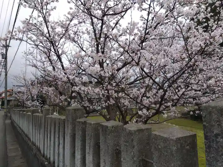 日吉神社(福井県)