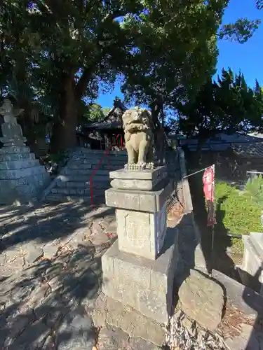 高野山真言宗 愛宕山上福院龍泉寺の狛犬