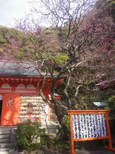 荏柄天神社のおみくじ